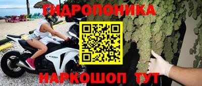 таблы Кингисепп