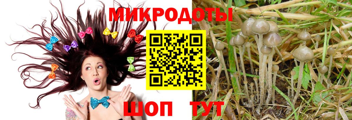 Псилоцибиновые грибы мицелий Красноуфимск